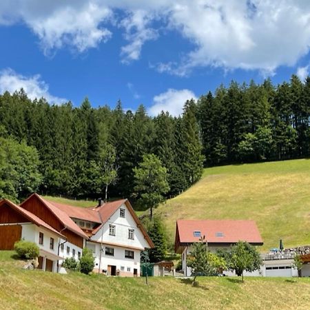 Ferienwohnung Holderstanzenhof Bad Peterstal-Griesbach Exterior foto