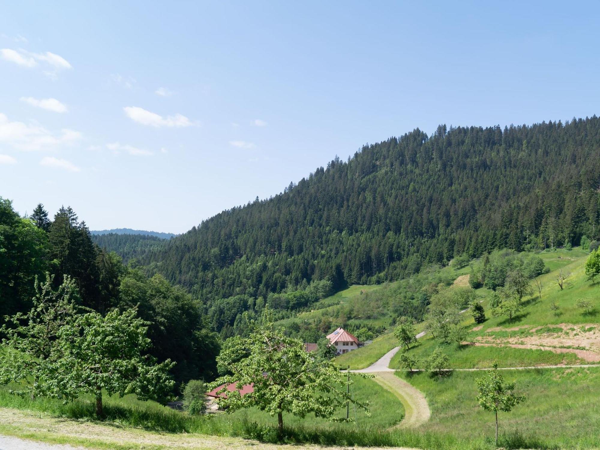 Ferienwohnung Holderstanzenhof Bad Peterstal-Griesbach Exterior foto