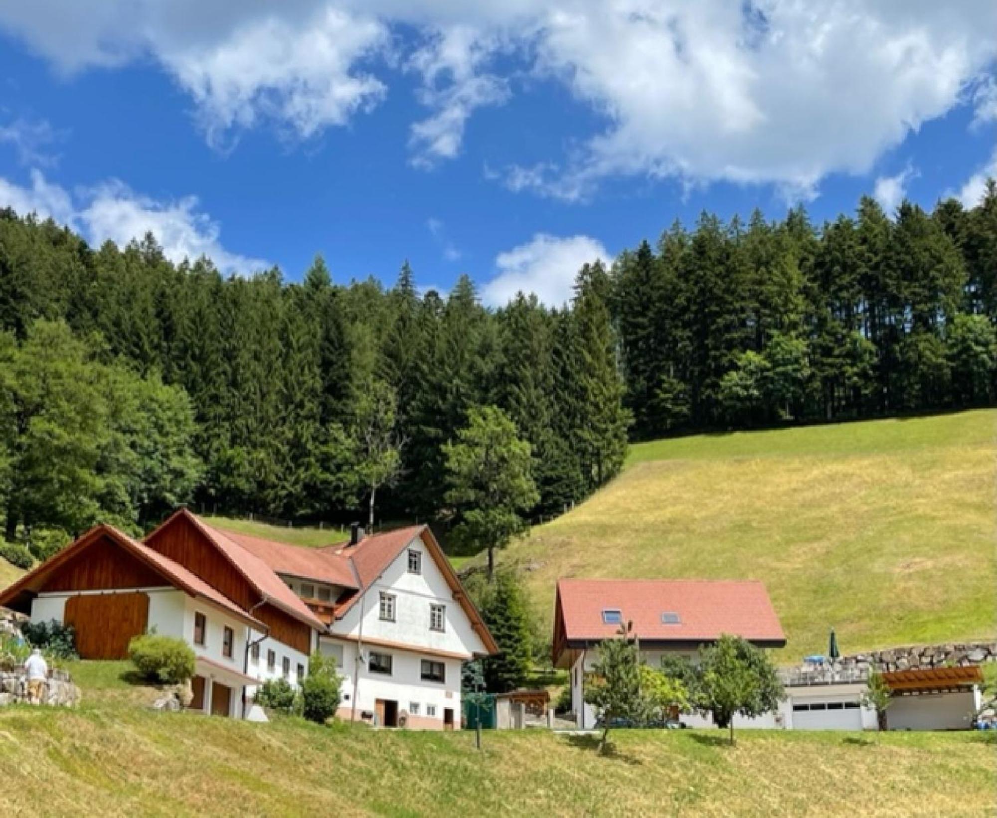 Ferienwohnung Holderstanzenhof Bad Peterstal-Griesbach Exterior foto