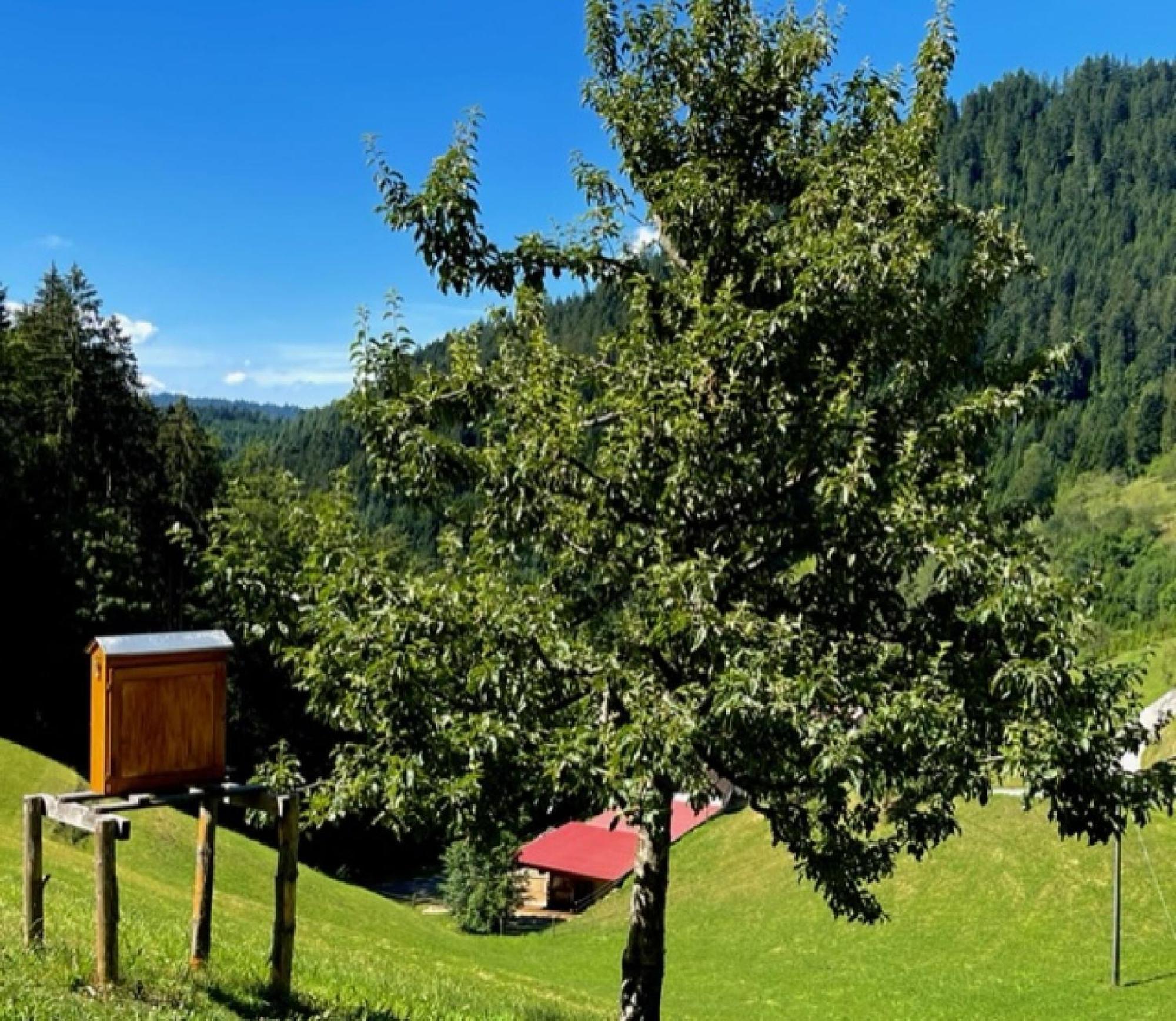 Ferienwohnung Holderstanzenhof Bad Peterstal-Griesbach Exterior foto