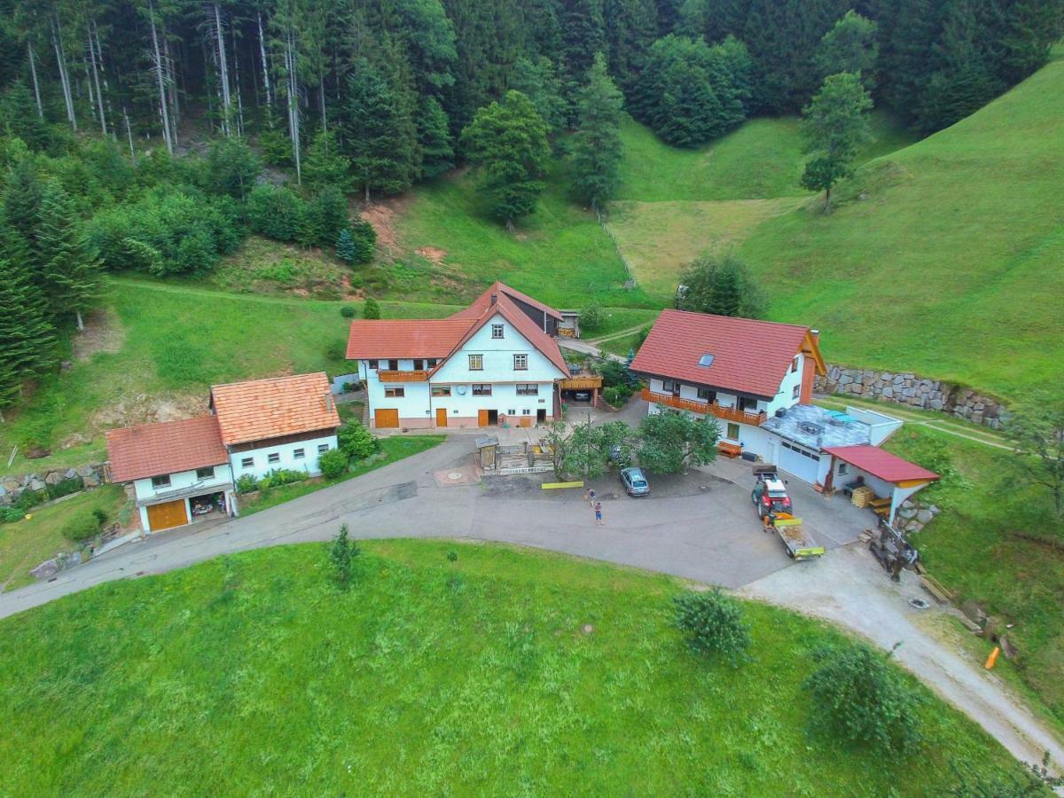 Ferienwohnung Holderstanzenhof Bad Peterstal-Griesbach Exterior foto