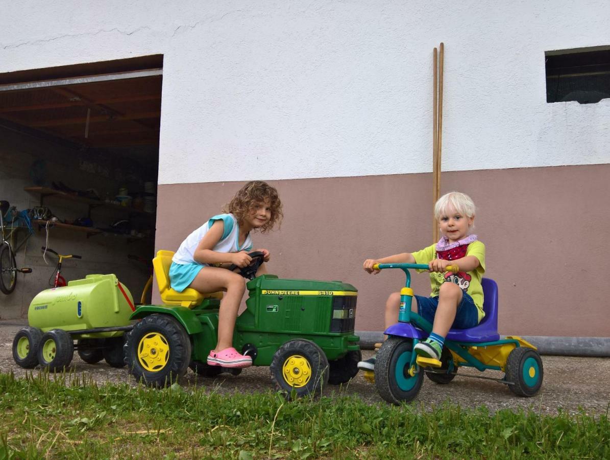 Ferienwohnung Holderstanzenhof Bad Peterstal-Griesbach Exterior foto