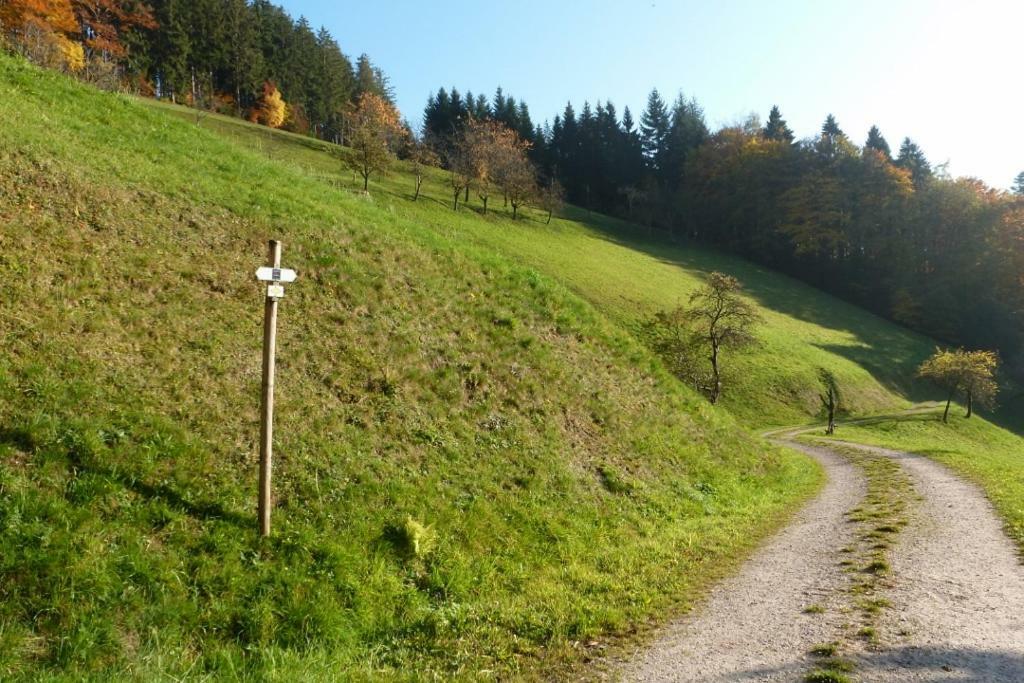 Ferienwohnung Holderstanzenhof Bad Peterstal-Griesbach Exterior foto