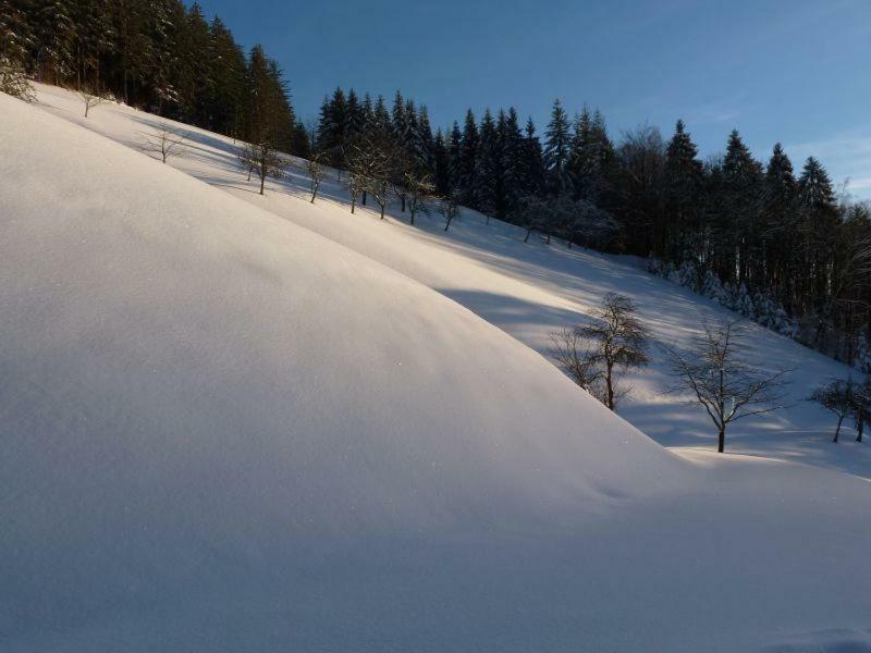 Ferienwohnung Holderstanzenhof Bad Peterstal-Griesbach Exterior foto